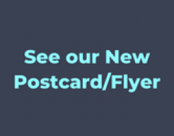 Assert Your Rights Flyer